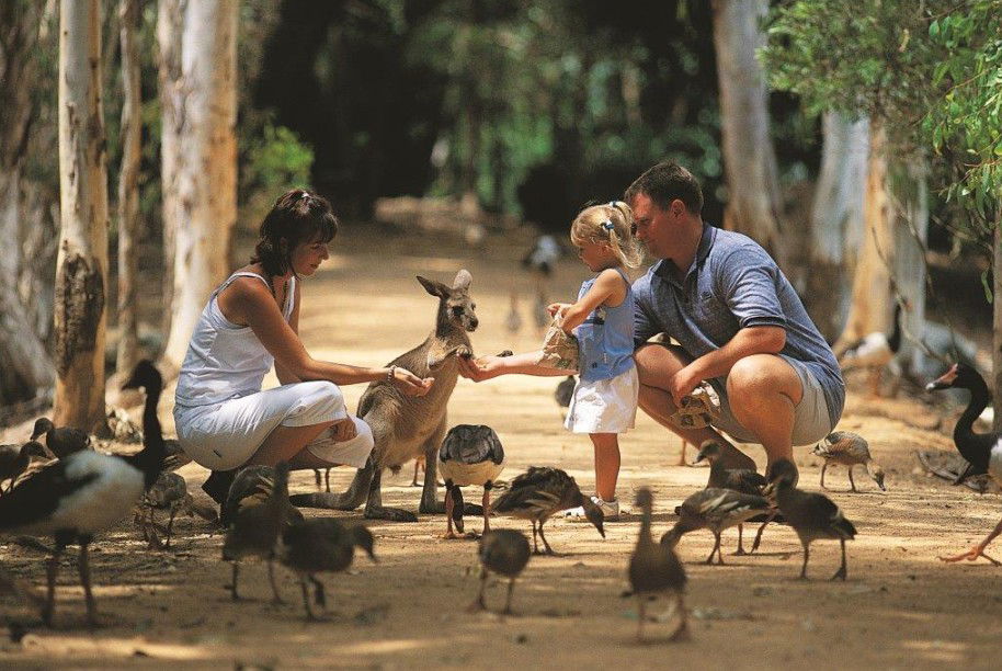 Townsville QLD Accommodation BNB