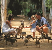 Billabong Sanctuary - Accommodation BNB