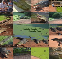 The Malcolm Douglas Crocodile Park - Accommodation BNB