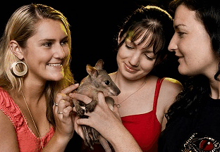 Cairns Night Zoo - Accommodation BNB 1