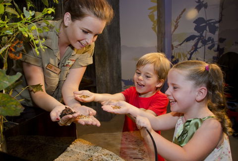 WILD LIFE Sydney Zoo - Accommodation BNB 1