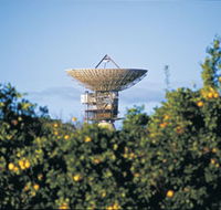 Big Dish - Accommodation BNB