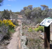 Christmas Rock Walk - Accommodation BNB