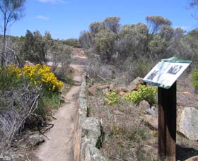 Christmas Rock Walk - Accommodation BNB 0
