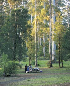 Big Brook Arboretum - Accommodation BNB 0