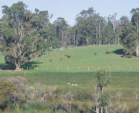Scenic Drives - Bunbury Collie Donnybrook - Accommodation BNB 0