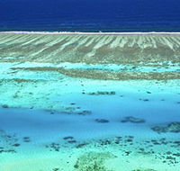 Christian Fletcher Photo Images - Dunsborough - Accommodation BNB