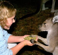 Discovery Bay's Walk on the Wild Side - Accommodation BNB