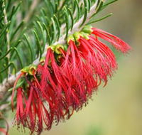 Ethel Daw Scenic Drive - Accommodation BNB