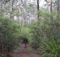 Margaret River Rails Trail - Accommodation BNB
