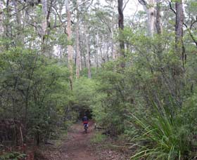 Margaret River Rails Trail - Accommodation BNB 0