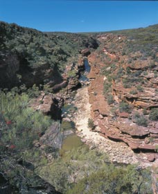 Ross Graham Lookout - Accommodation BNB 0