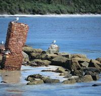 Whalers Beach - Accommodation BNB