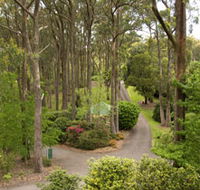 Mount Lofty Botanic Garden - Accommodation BNB