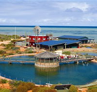 Ocean Park Aquarium - Accommodation BNB