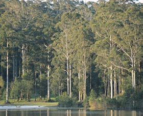 Big Brook Dam - Accommodation BNB 0