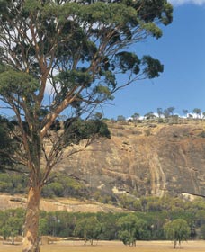 Mount Stirling - Accommodation BNB 0