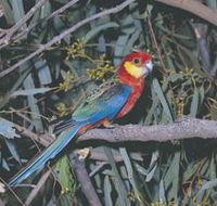 King River - Accommodation BNB