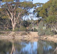 Merredin Railway Dam - Accommodation BNB