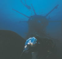 Swan Dive Wreck - Accommodation BNB