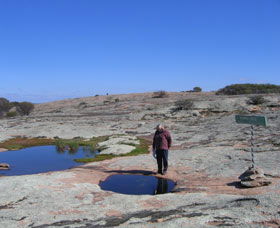 Dingo Rock - Accommodation BNB 0