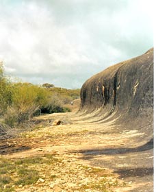 Totadgin Dam Reserve - Accommodation BNB 0