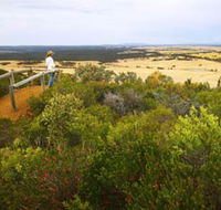 Archer Drive Scenic Drive and Lookout - Accommodation BNB
