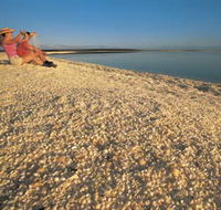 Shell Beach - Accommodation BNB