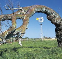 Greenough Leaning Trees - Accommodation BNB