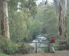 Cascades - Accommodation BNB 0