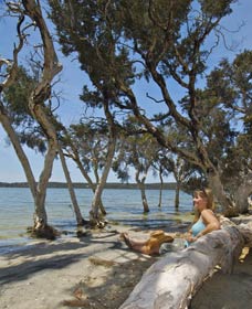 Stokes National Park - Accommodation BNB 0