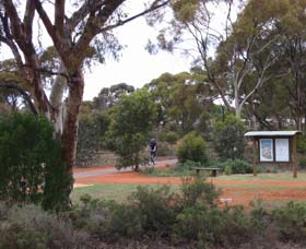 Gribble Creek Walk And Cycle Way - Accommodation BNB 0