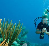 Coastal Water Dive - Accommodation BNB