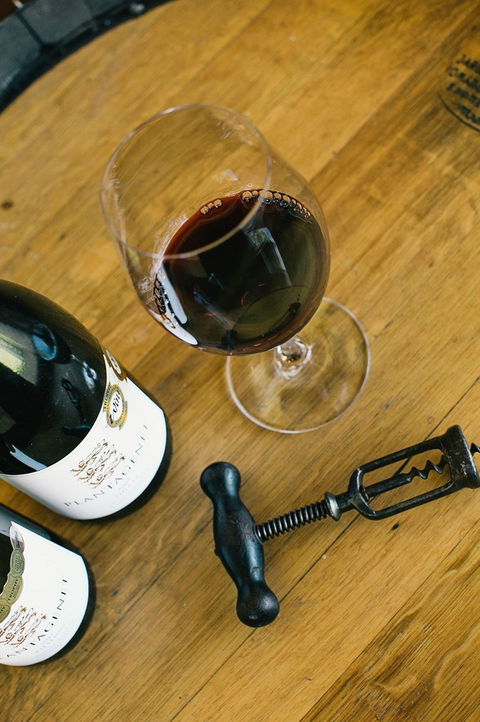 Plantagenet Wines - Accommodation BNB 5