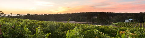 Aravina Estate - Accommodation BNB 0