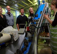 Eyre Peninsula's Seafood Trail - Accommodation BNB