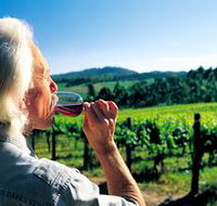Ashton Hills Vineyard - Accommodation BNB