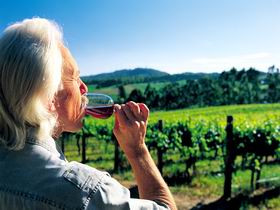 Ashton Hills Vineyard - Accommodation BNB 0