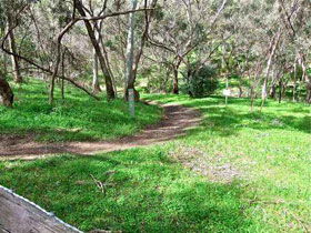 Yurrebilla Trail - Accommodation BNB 0