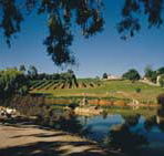 Mount Hurtle Winery home of Geoff Merrill Wines - Accommodation BNB