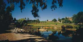 Mount Hurtle Winery Home Of Geoff Merrill Wines - Accommodation BNB 0