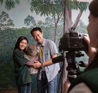 Cleland Wildlife Park - Accommodation BNB