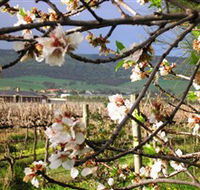 Cradle of Hills McLaren Vale Winery - Accommodation BNB