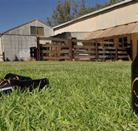 Wilkadene Woolshed Brewery - Accommodation BNB