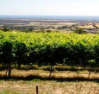Braydun Hill Vineyard - Accommodation BNB