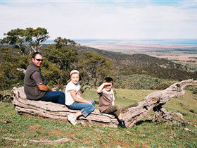 Bridle Track - Accommodation BNB 0