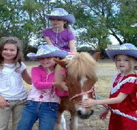 Amberainbow Pony Rides - Accommodation BNB