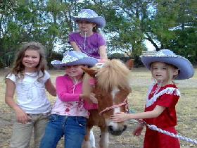 Amberainbow Pony Rides - Accommodation BNB 0