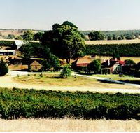 Irvine Wines - Accommodation BNB