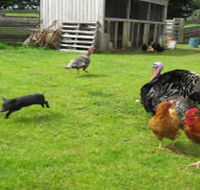 Echo Farm - Accommodation BNB